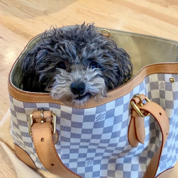 Melody Eighthsense - Picture 3 of 8